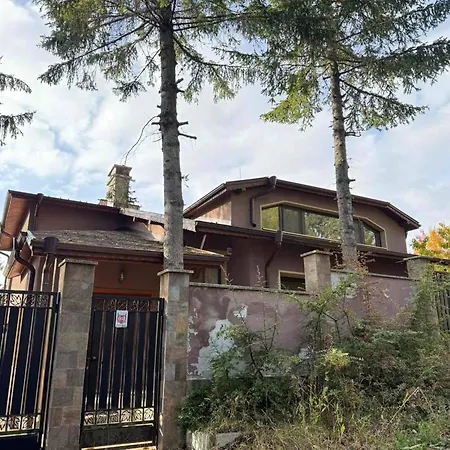 Forest House Holiday home