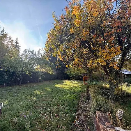 Holiday home Forest House Yarema