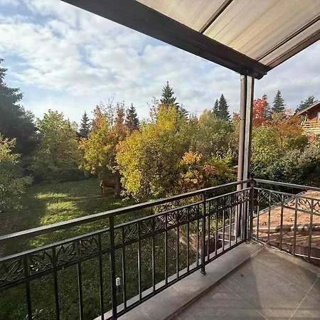 Forest House